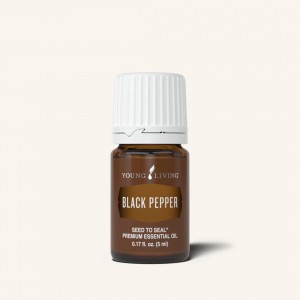 Black Pepper 黑胡椒